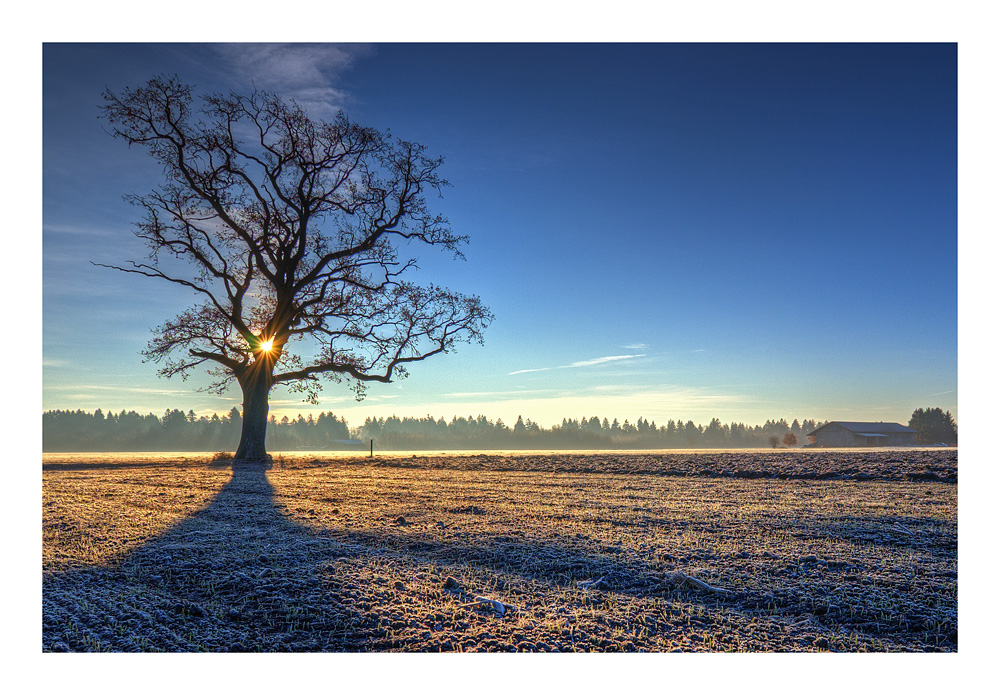 Morgens auf dem Feld...