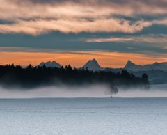 Morgens auf dem Felde nach kalter Winternacht