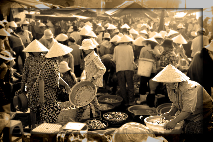 Morgens auf dem Fischmarkt in Hoi An