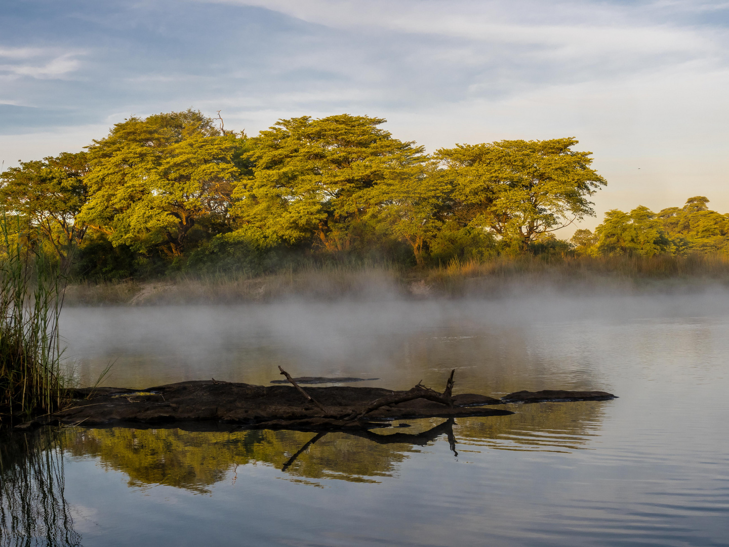 Morgens auf dem Fluss