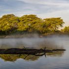 Morgens auf dem Fluss