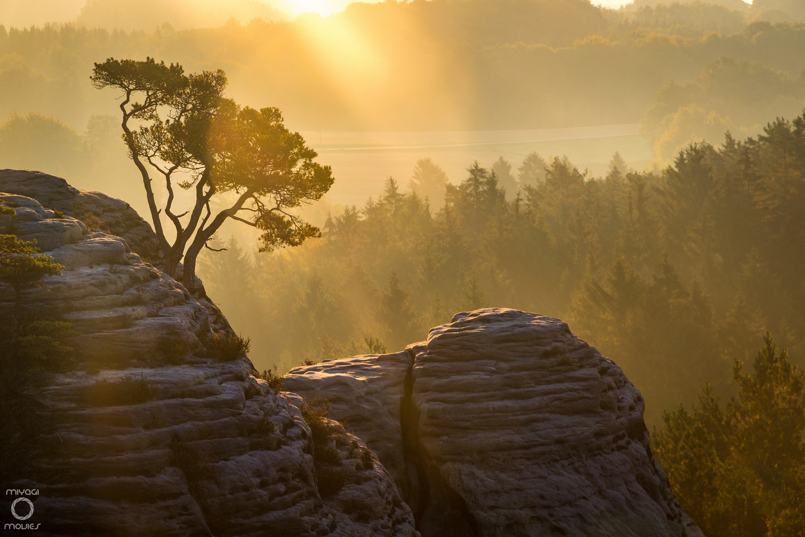 morgens auf dem gamrig