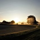 Morgens auf dem Golfplatz