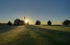 Morgens auf dem Golfplatz 