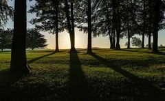 Morgens auf dem Golfplatz