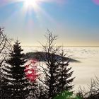 Morgens auf dem Großen Feldberg im Taunus