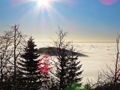 Morgens auf dem Großen Feldberg im Taunus