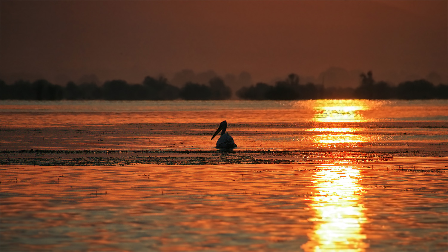 Morgens auf dem Kerkini-See