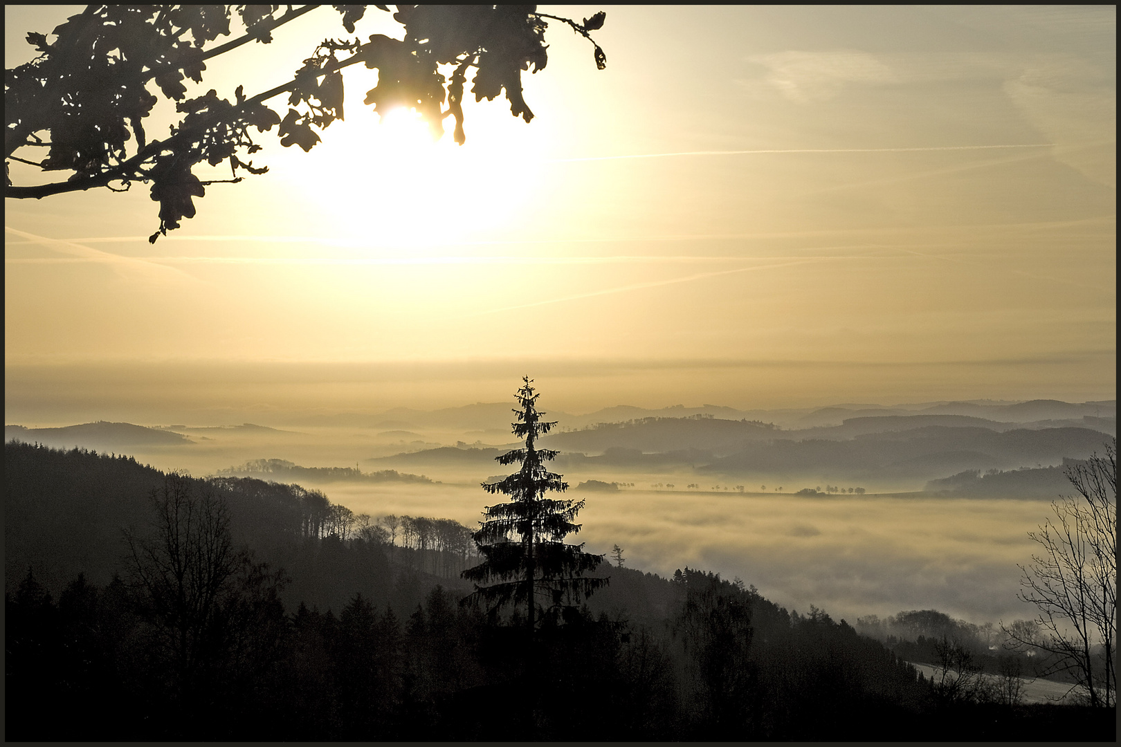 Morgens auf dem Kohlberg