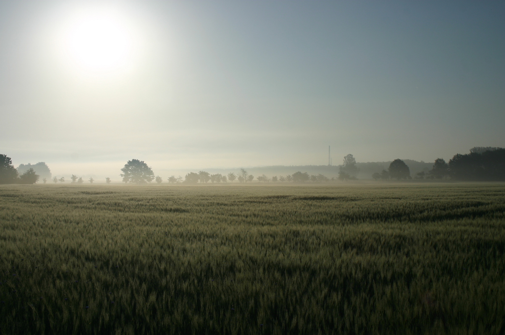 Morgens auf dem Land