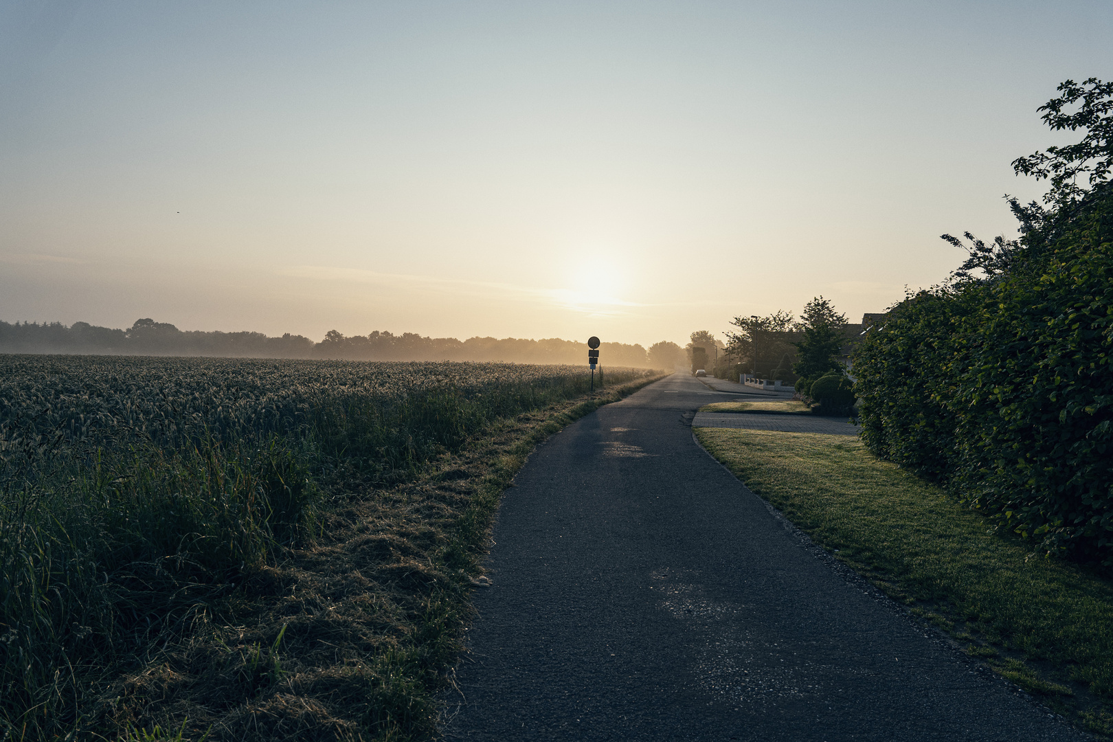 Morgens auf dem Land 