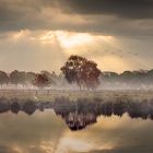 Morgens auf dem Lande