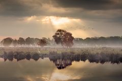 Morgens auf dem Lande