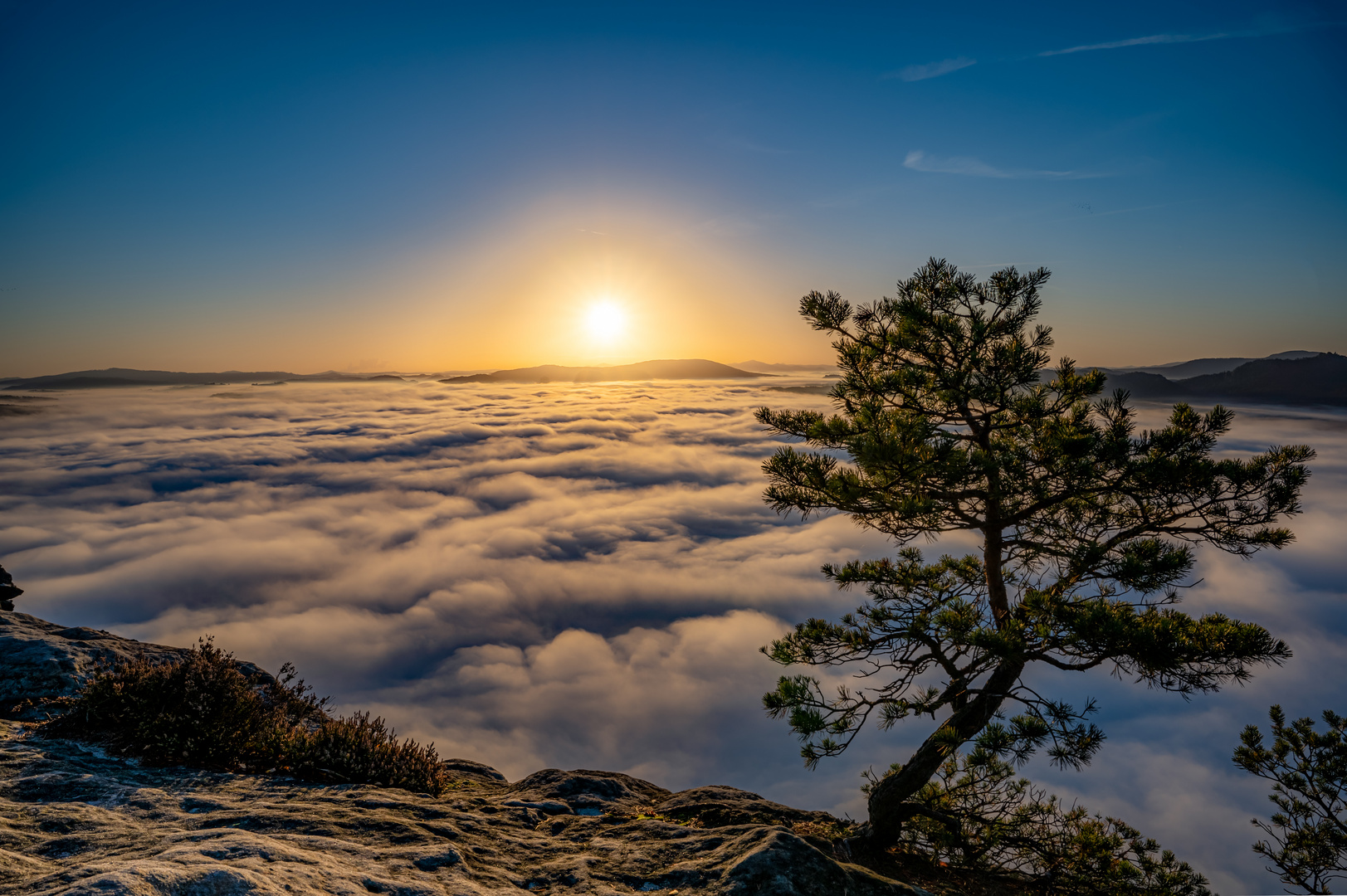 Morgens auf dem Lilienstein 