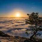 Morgens auf dem Lilienstein 