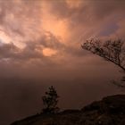 Morgens auf dem Lilienstein...