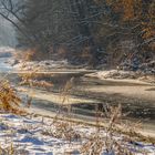 Morgens auf dem Natursteig Sieg