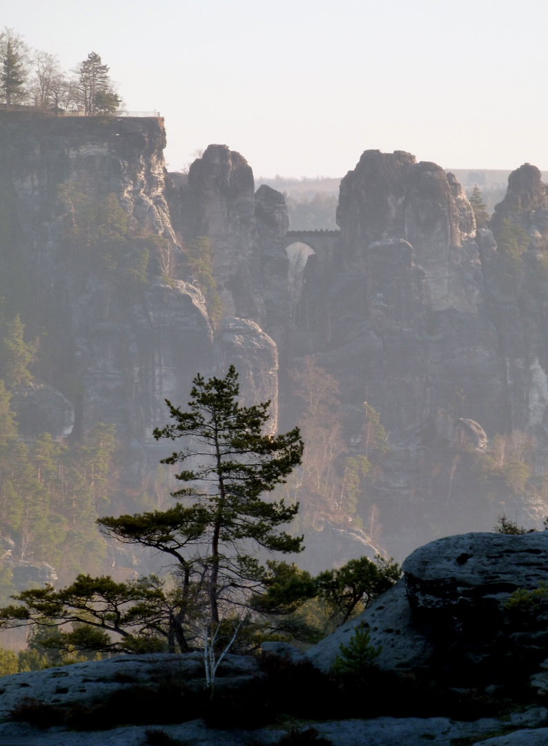 Morgens auf dem Rauenstein