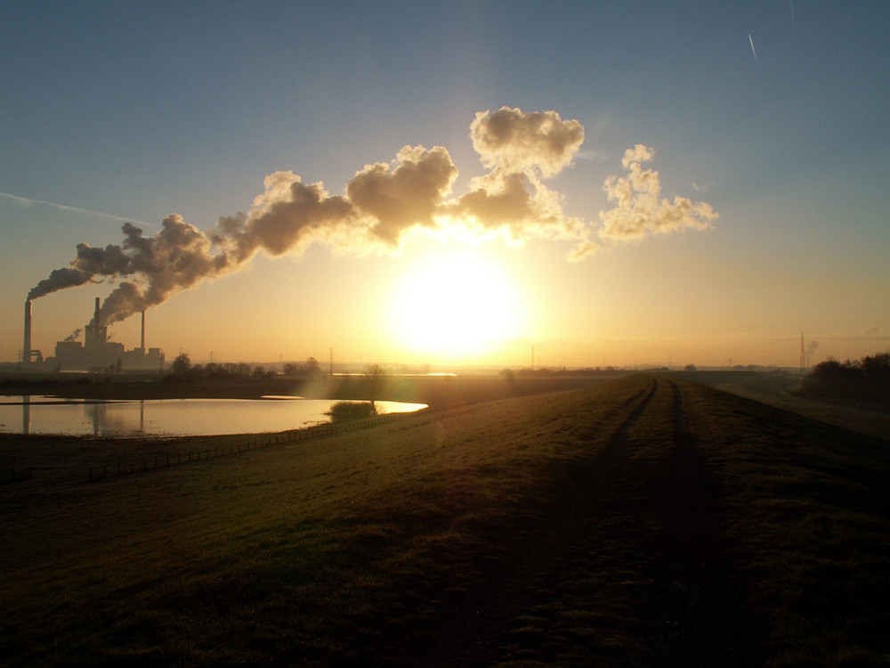 Morgens auf dem Rheindamm