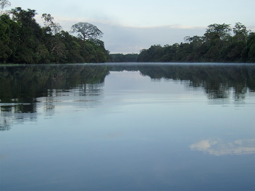 Morgens auf dem Rio Negro