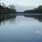 Morgens auf dem Rio Negro