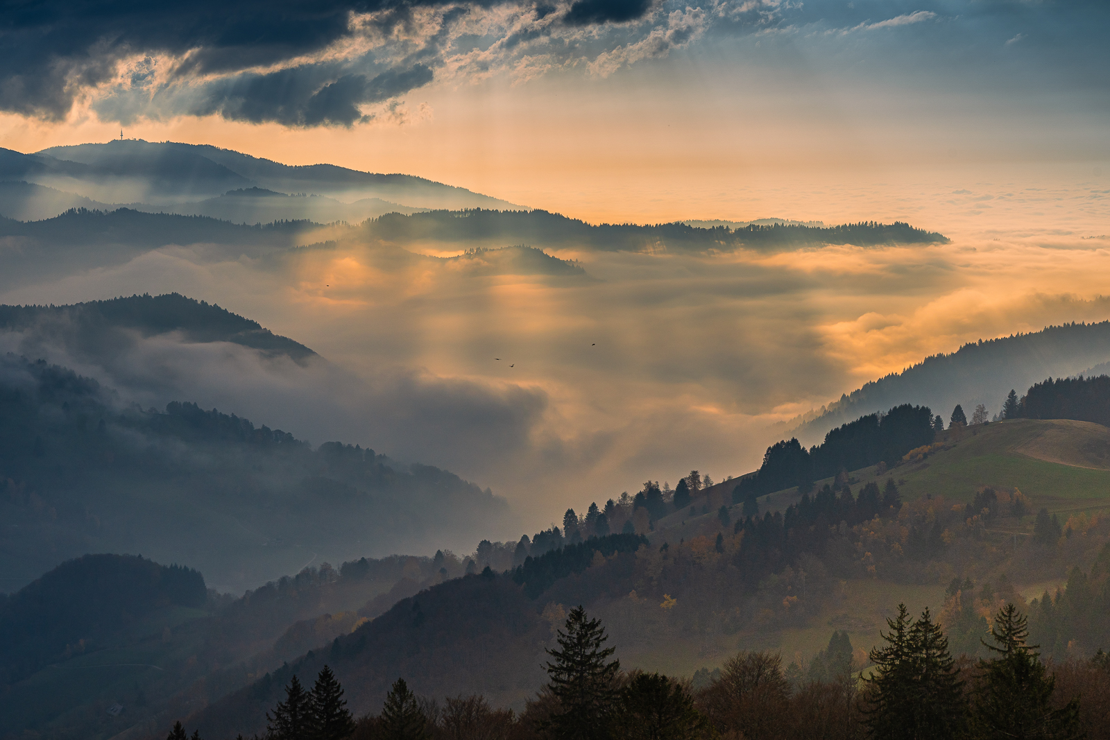 Morgens auf dem Schauinslang