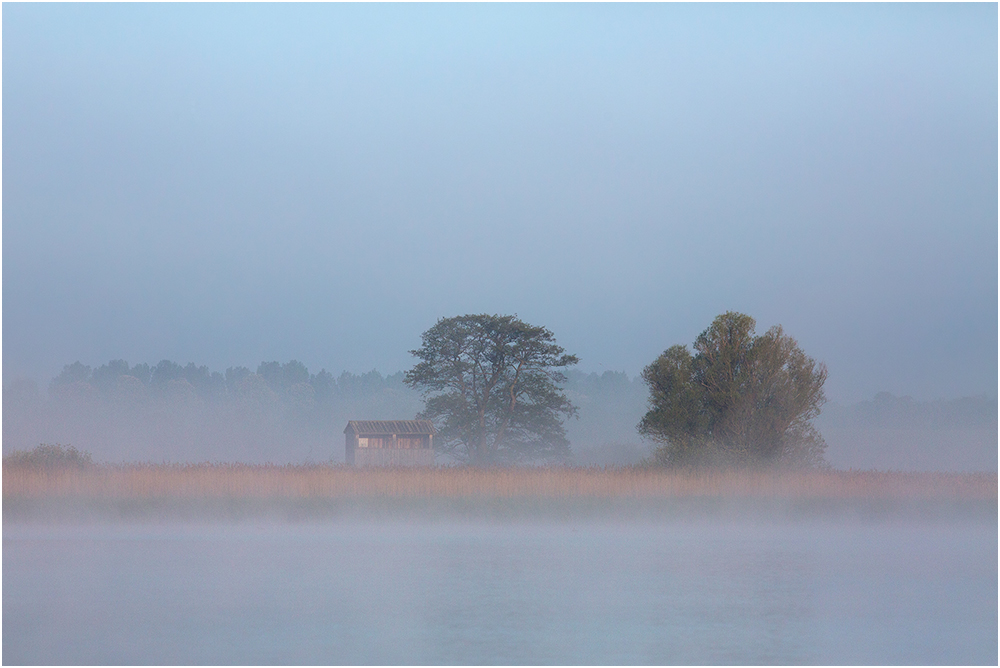 Morgens auf dem See..