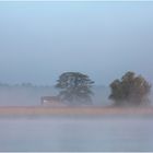 Morgens auf dem See..