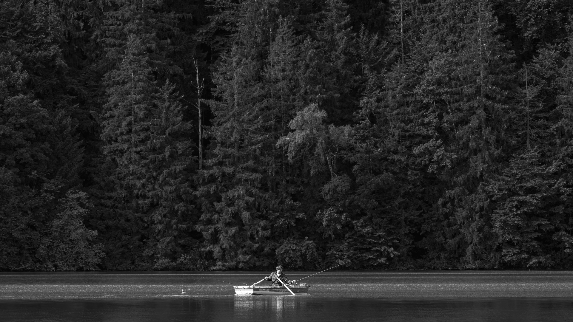 Morgens auf dem See