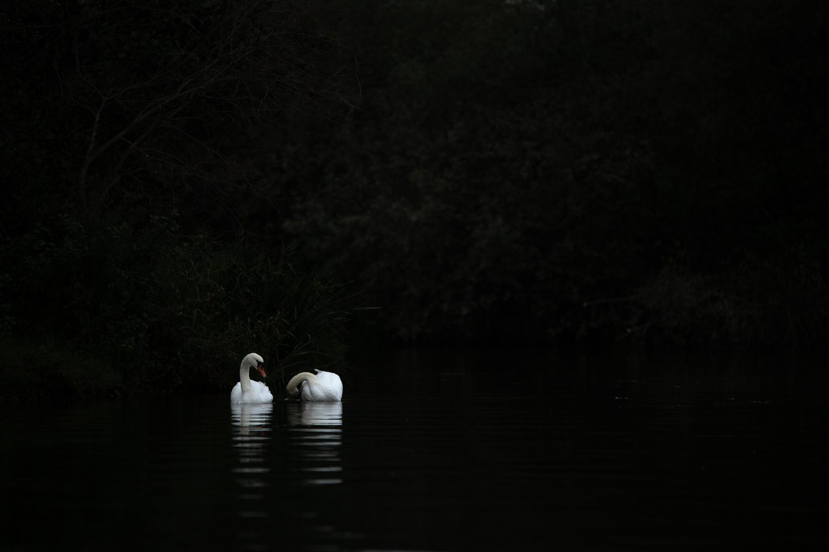 Morgens auf dem Wasser…