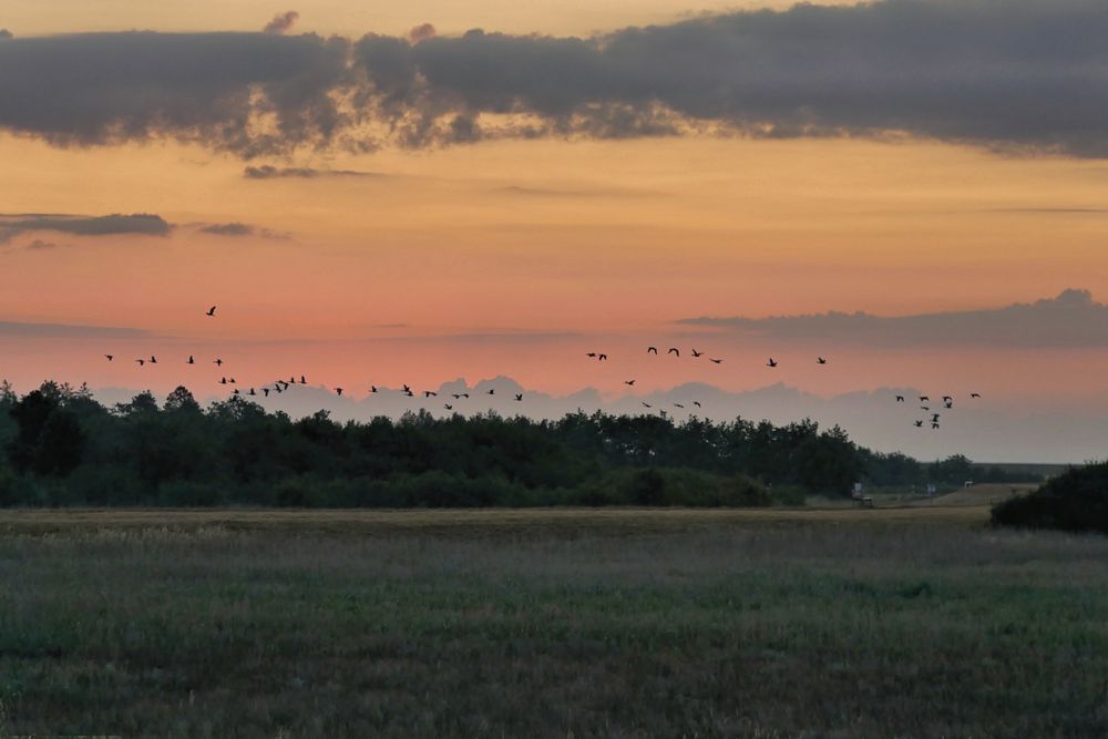 morgens auf dem Weg