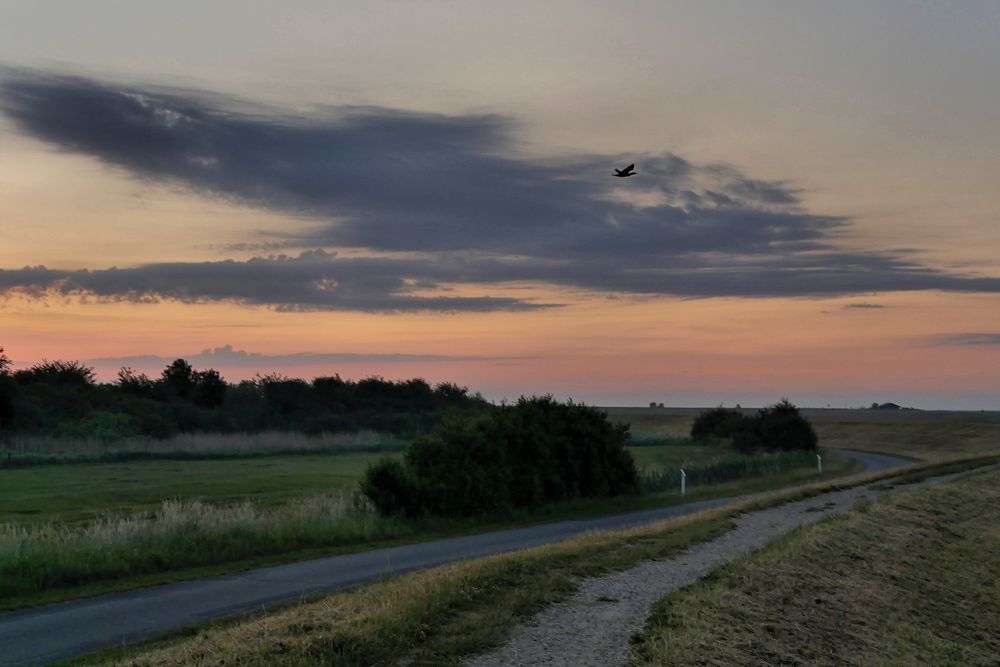 morgens auf dem Weg