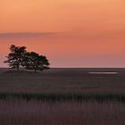 morgens auf dem Weg