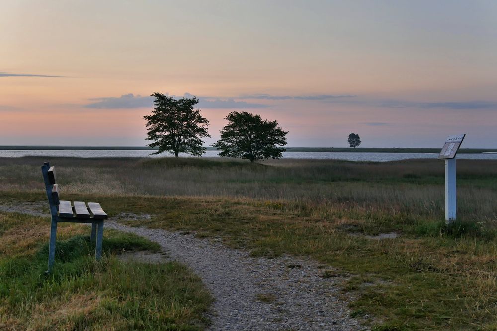 morgens auf dem Weg