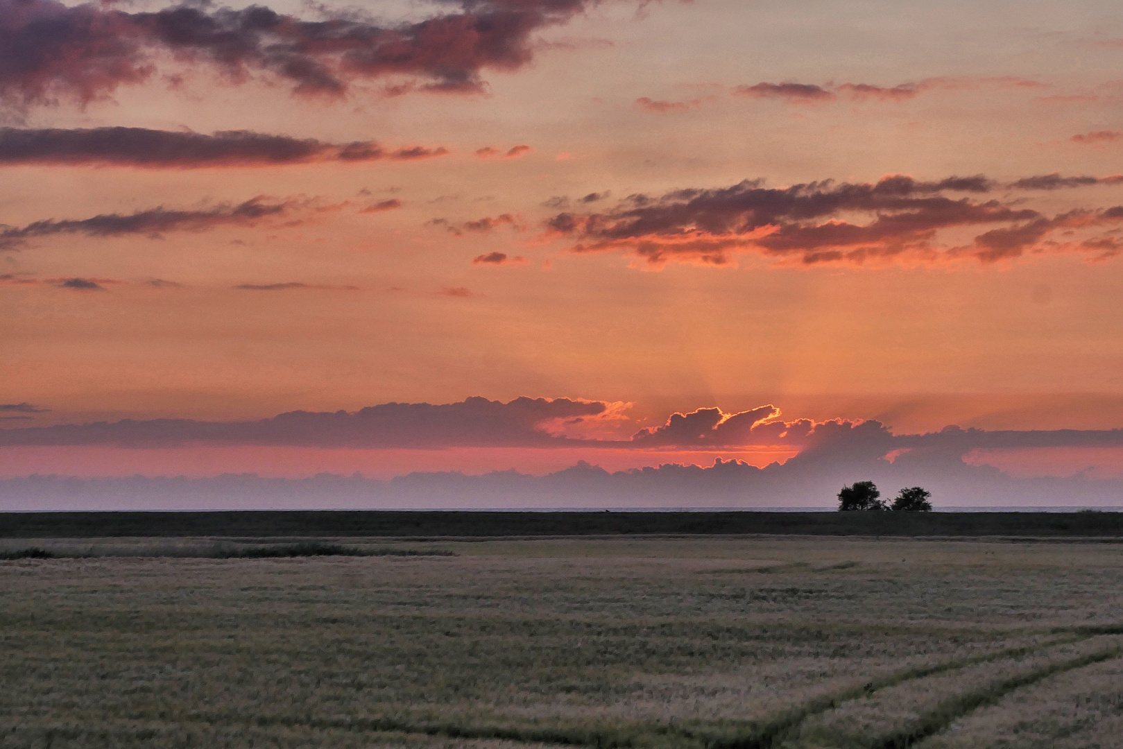 morgens auf dem Weg