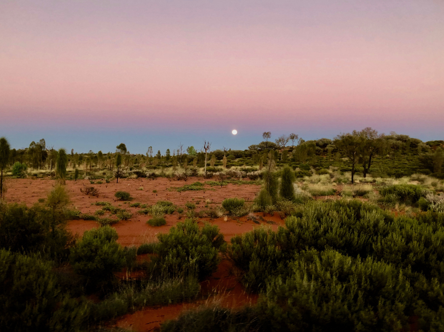 Morgens auf dem Weg zum Uluru