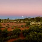 Morgens auf dem Weg zum Uluru