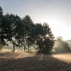 Morgens auf dem Weg zur Arbeit...