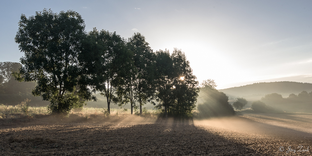 Morgens auf dem Weg zur Arbeit...