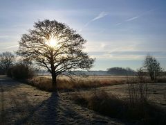 Morgens auf dem Weg zur Arbeit ...