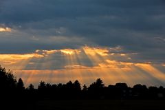 Morgens auf dem Weg zur Arbeit....