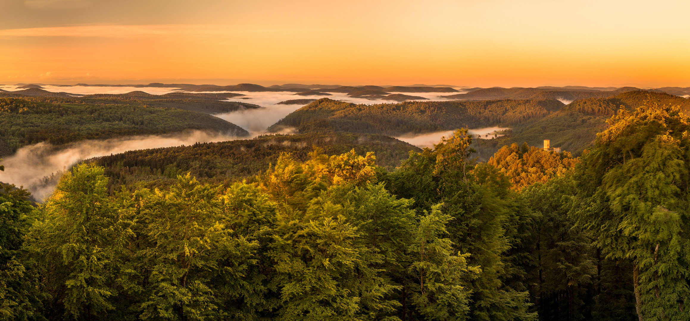 Morgens auf dem Winschertfelsen...