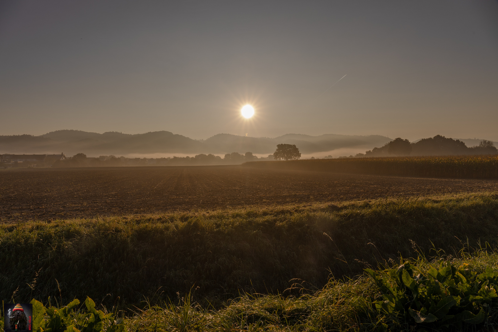 Morgens auf den Feldern