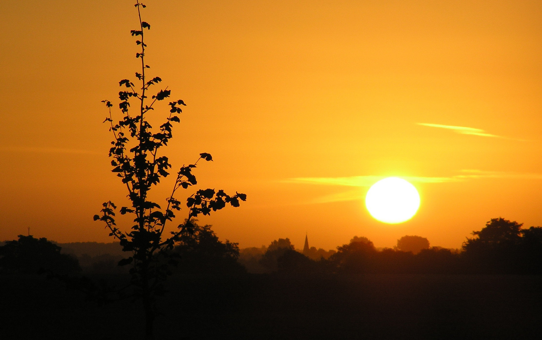 Morgens auf der A 14