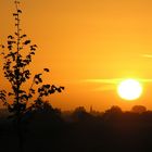 Morgens auf der A 14