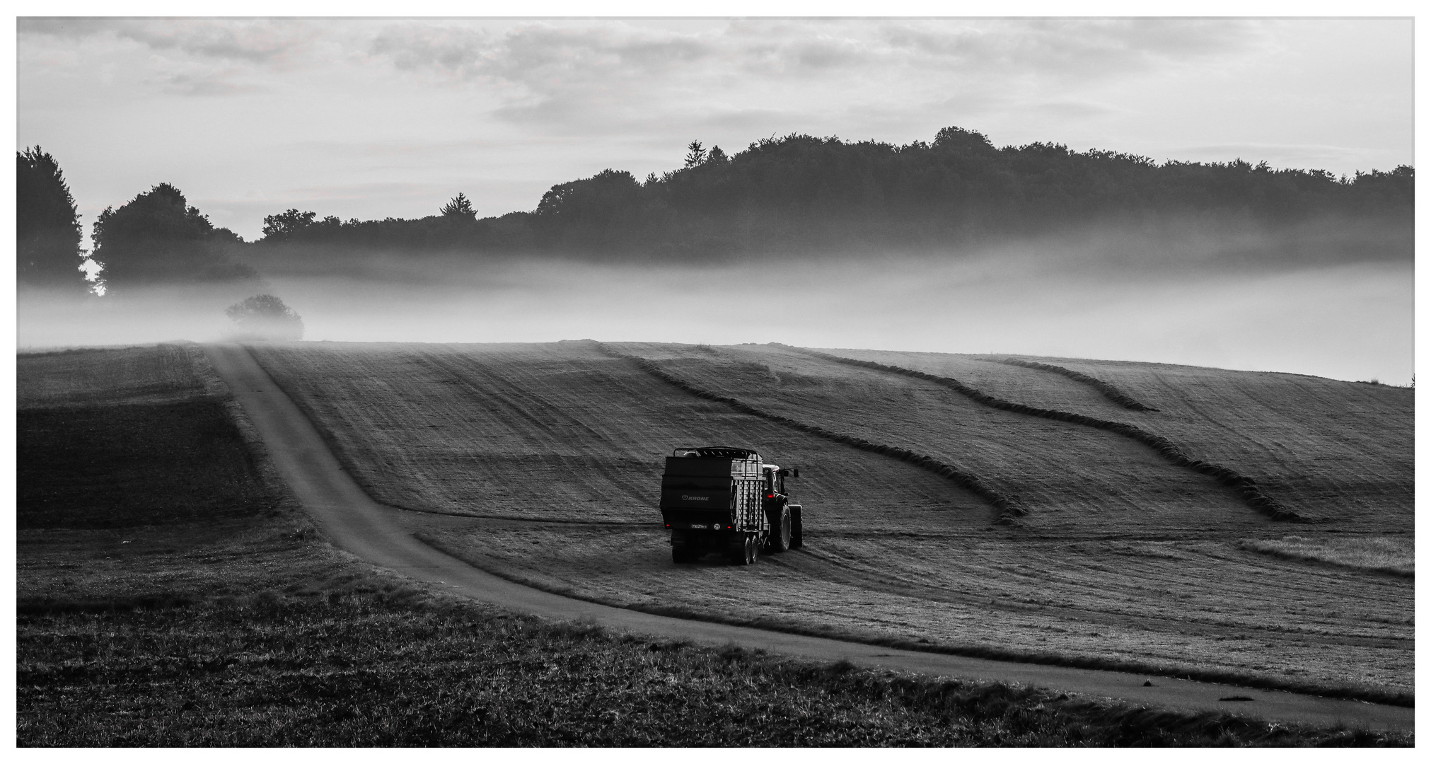                       -Morgens auf der Alb-