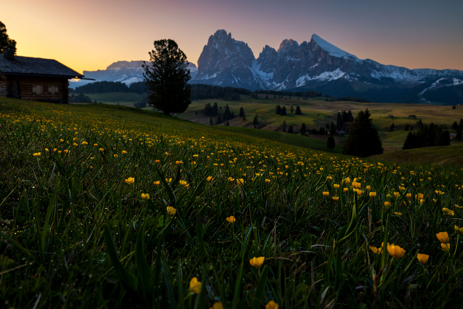 Morgens auf der Alm