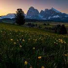 Morgens auf der Alm