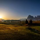 Morgens auf der Alm