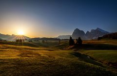 Morgens auf der Alm